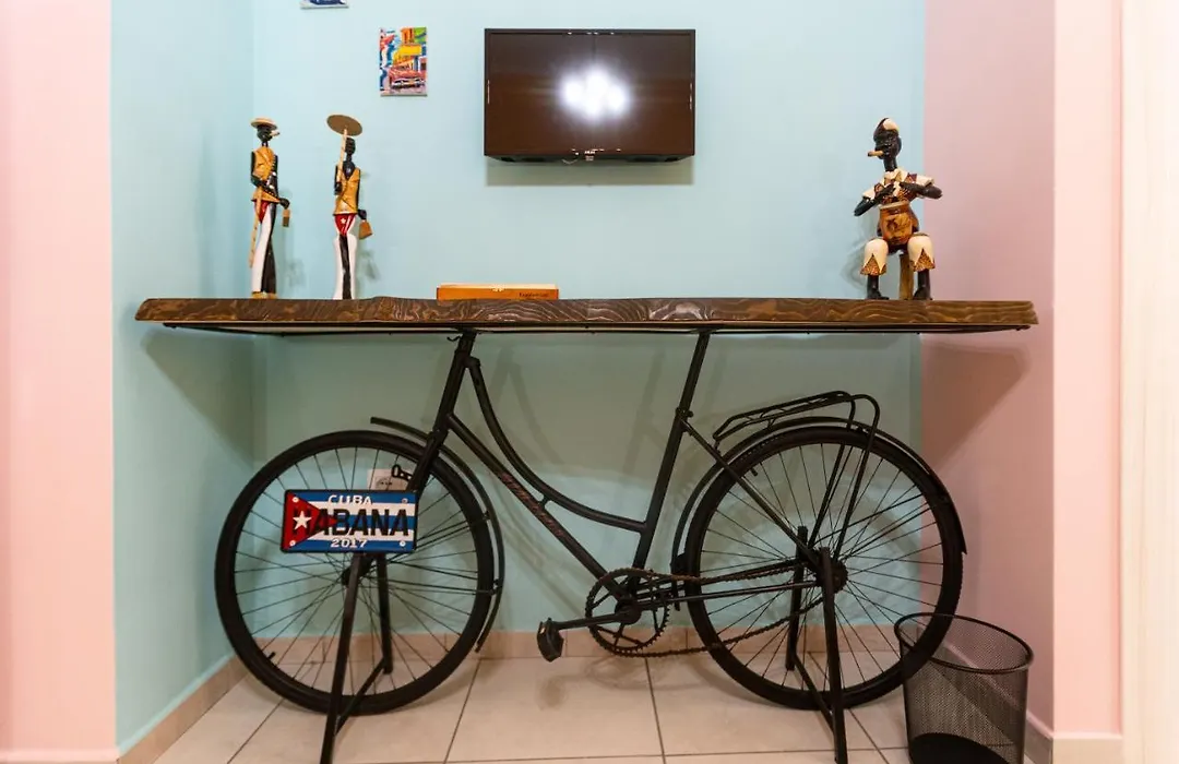 Biu B&B-1