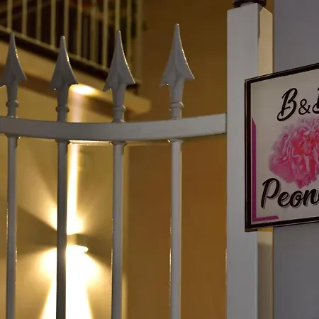 B&B Peonies-3